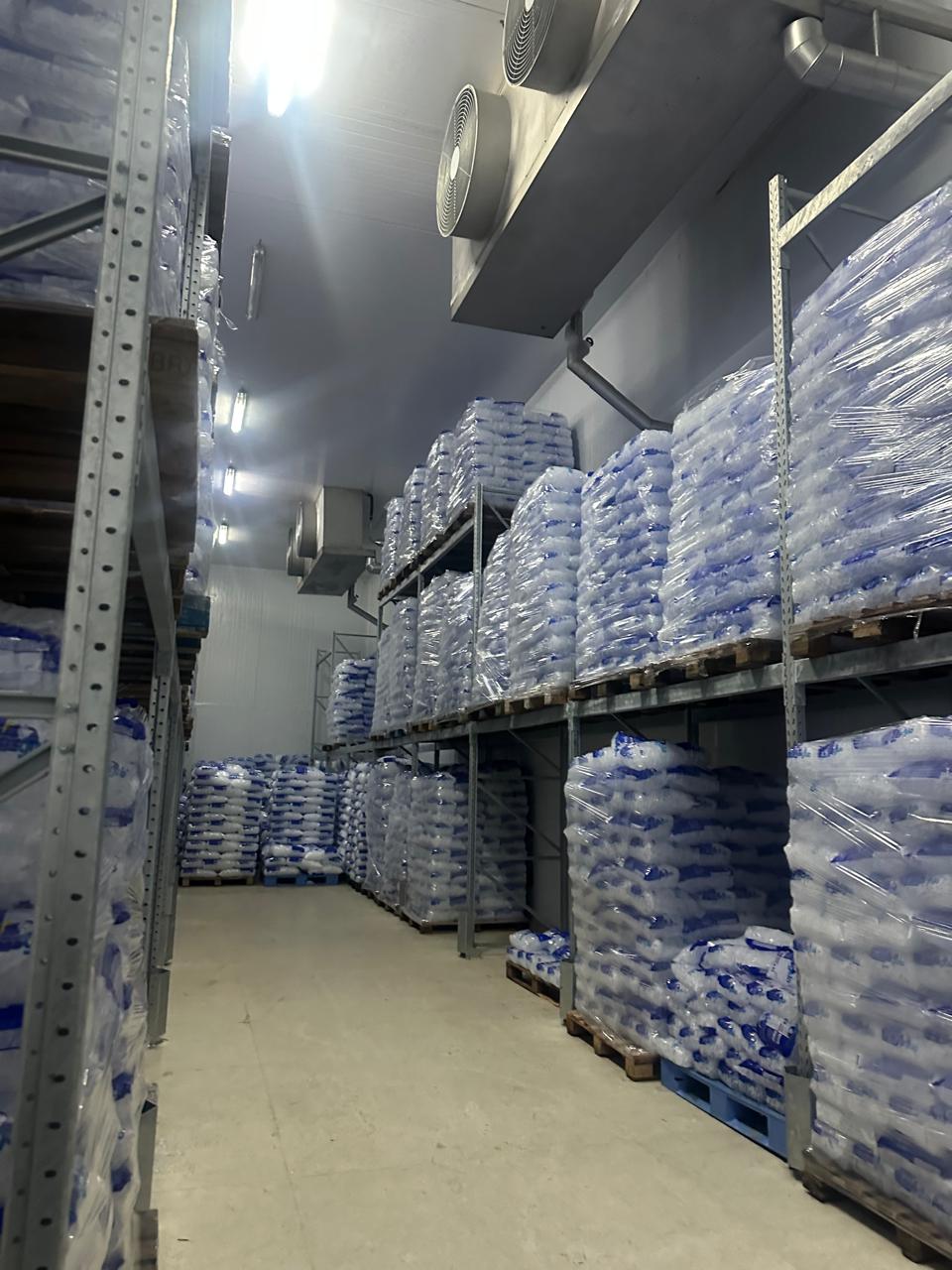 Câmara fria Brasgelo com sacos de gelo